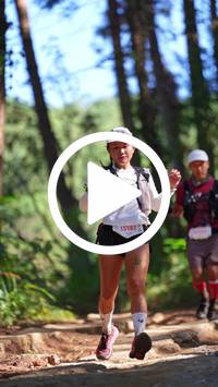 BIB:  <button type="button" onclick="openModal(26787740)" class="btn btn-primary btn-sm float-right" data-toggle="modal" data-target=".modal-high-quality">
                <i class="fa fa-download"></i> Download
                </button>